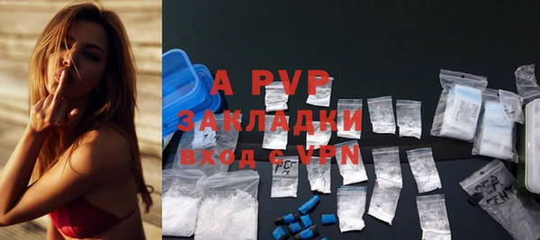 apvp Осташков