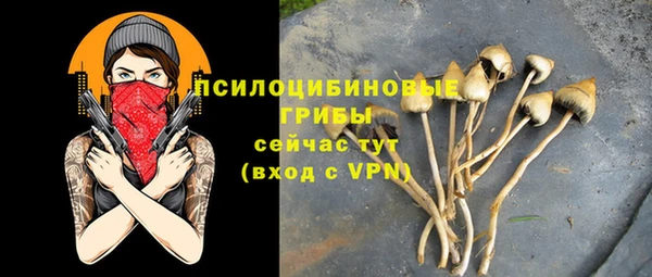 каннабис Алзамай