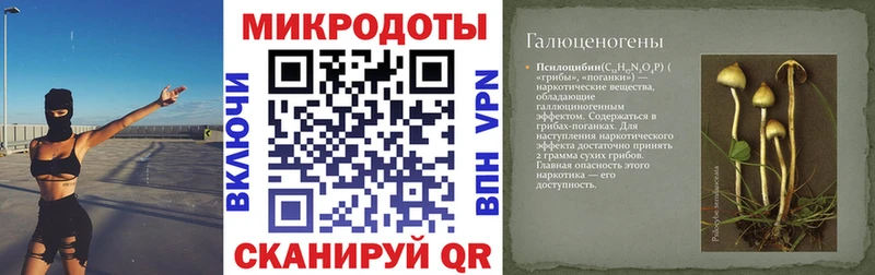 Галлюциногенные грибы Psilocybe  наркотики  Спасск-Рязанский 